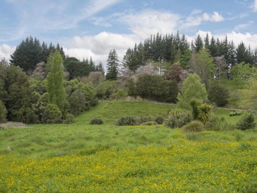 Above The River Karapiro Bed & Breakfast Ngoại thất bức ảnh