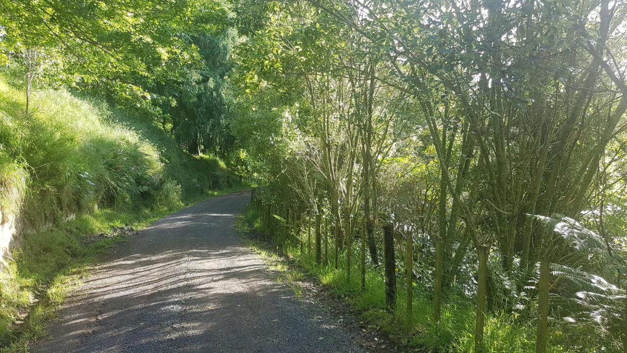 Above The River Karapiro Bed & Breakfast Ngoại thất bức ảnh